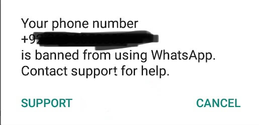 زر support في واتساب